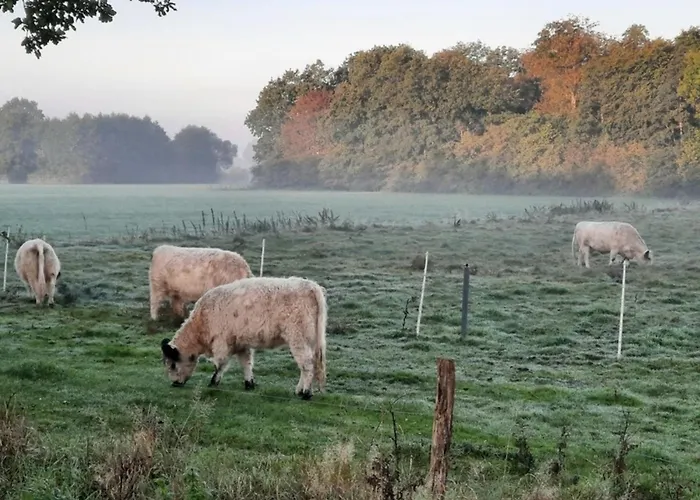 47 Pod * Silberstedt